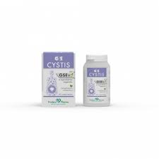 GSE CYSTITIS 60 COMPRIMIDOS